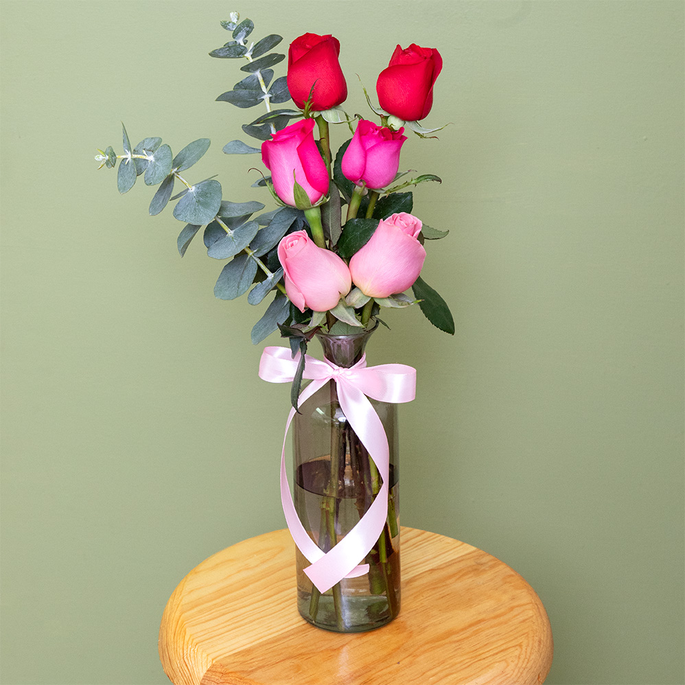 Violetero rosas rojas y rosas